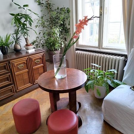 베오그라드 Monica'S House 호스텔 외부 사진