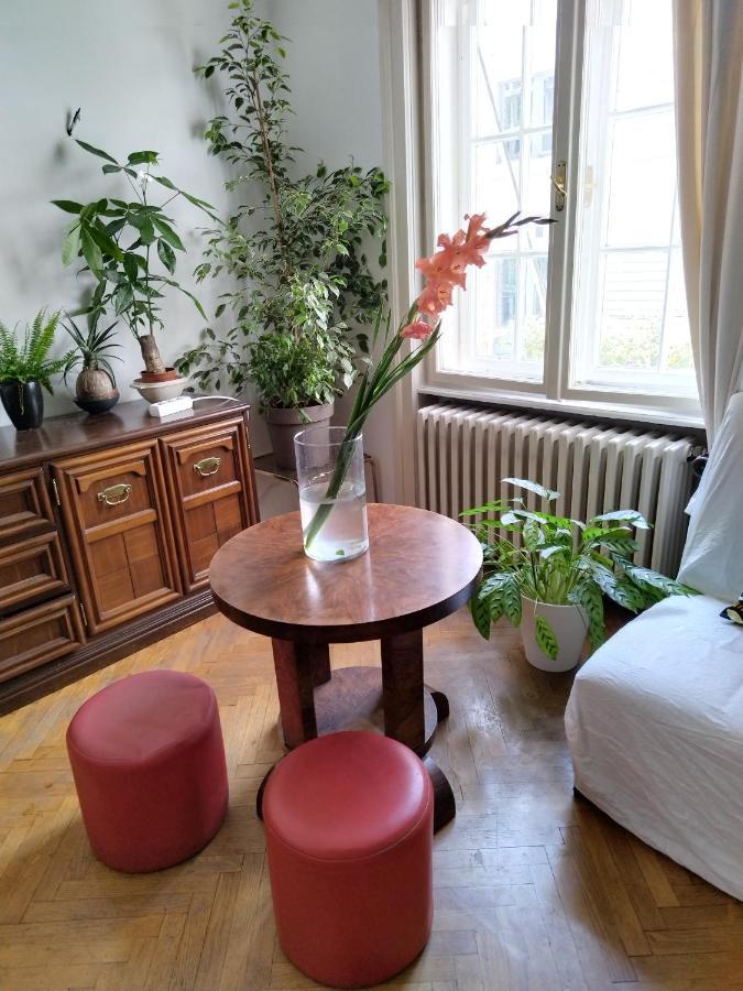 베오그라드 Monica'S House 호스텔 외부 사진